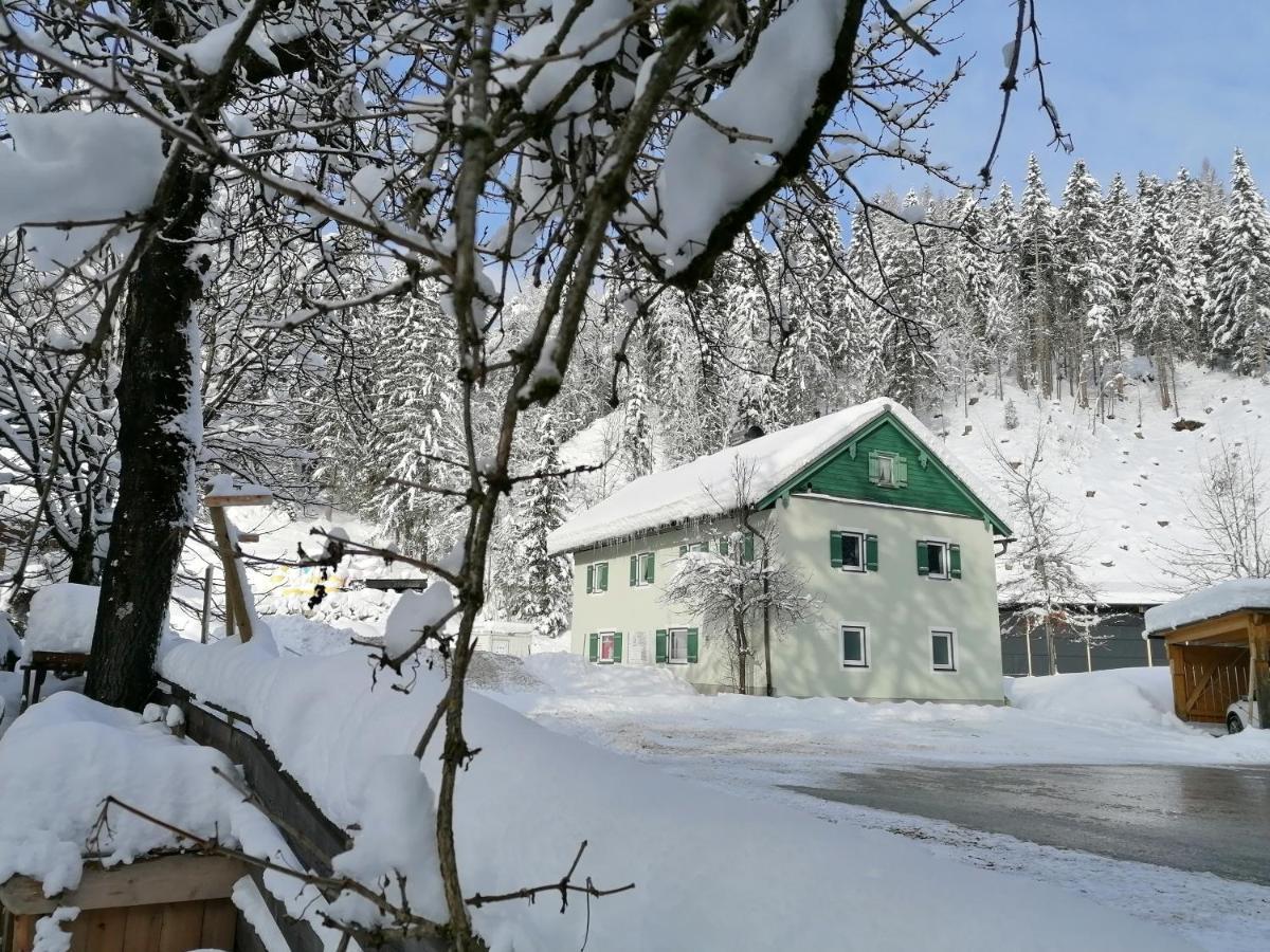 Ferienwohnung Saunahaus Annaberg im Lammertal Luaran gambar