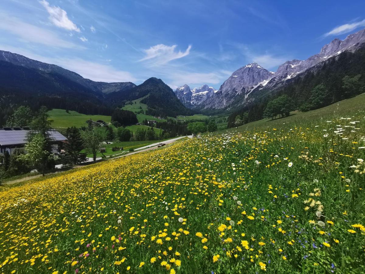 Ferienwohnung Saunahaus Annaberg im Lammertal Luaran gambar