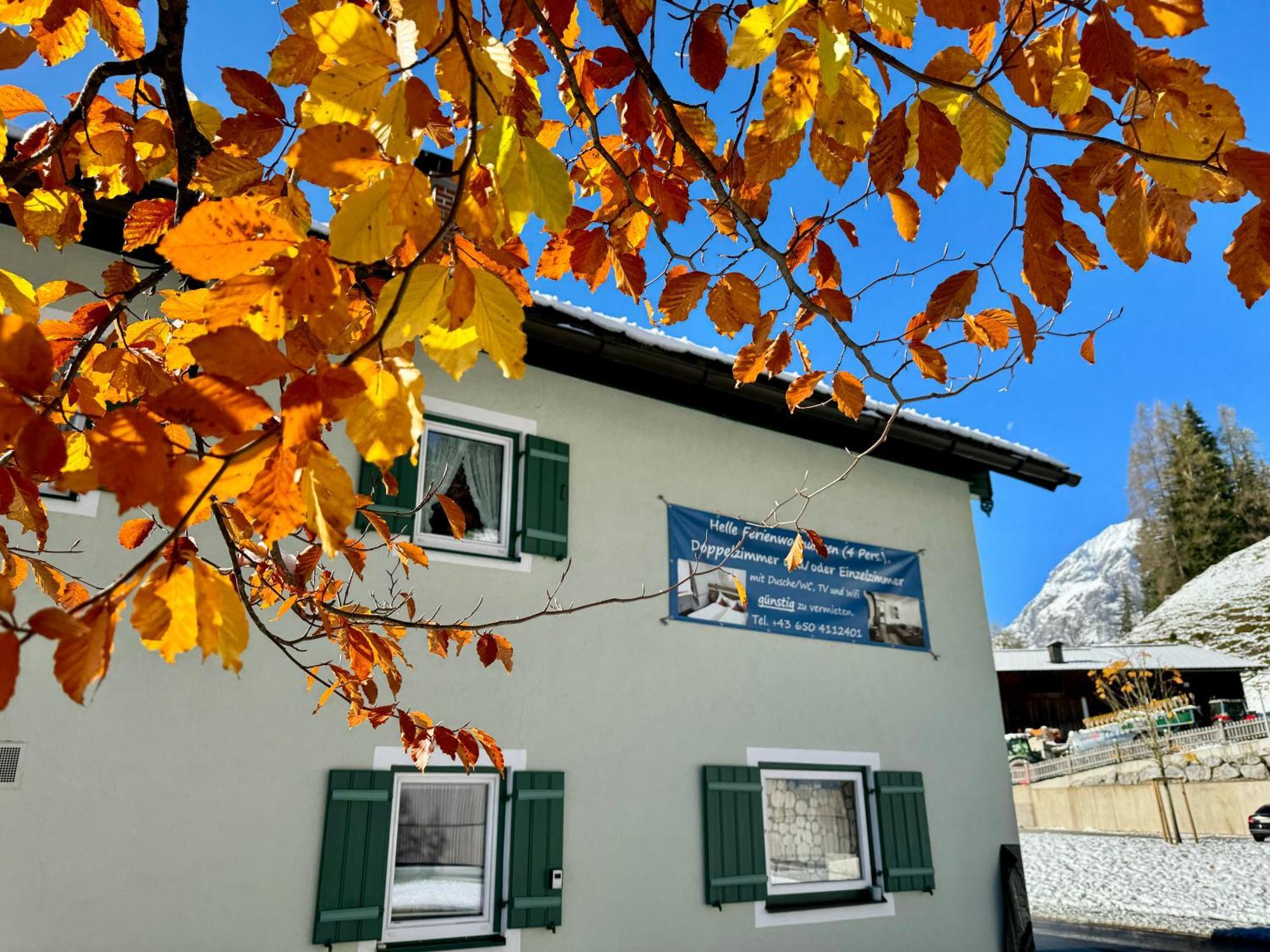 Ferienwohnung Saunahaus Annaberg im Lammertal Luaran gambar