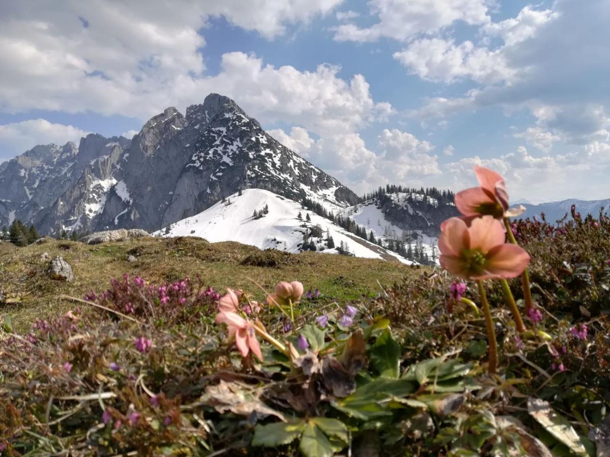 Ferienwohnung Saunahaus Annaberg im Lammertal Luaran gambar